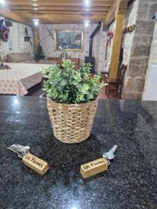 Casa Rural Los Pilones