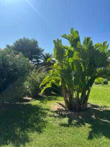 Appartement Hélène 200m plage, piscine et terrain de tennis