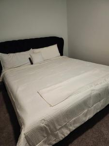 Luxury One bedroom Downtown Atlanta