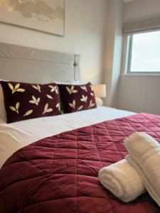 Newly renovated 1BD City centre escape