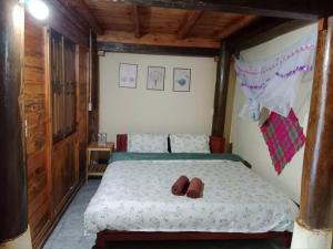 Homesaty phương nam 2