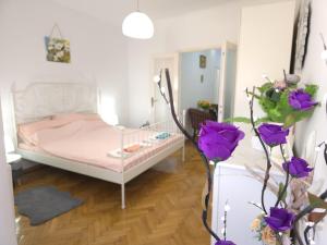 Suvenir Chic, a Fusion of Modern, Elegance and Harmony