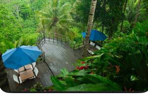 RatnaVana, Jungle view, near rice terrace