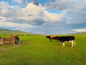 Yurt and Mongolian Ger