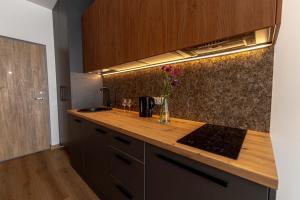 Sky Pool Escape Luxury Apartment in Druskininkai Center