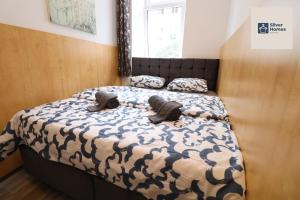 Silver Homes 1050 Vie