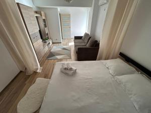 Apartament 1 camera Rivers Towers cu parcare privată