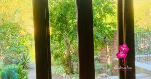 Residenza Locci - Rooms & Apartments img20