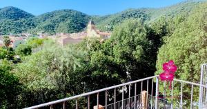 Residenza Locci - Rooms & Apartments img7