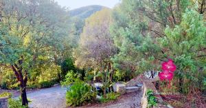 Residenza Locci - Rooms & Apartments img22