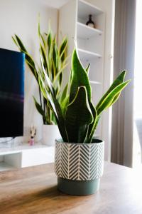 Modern 2-Bed City Apartment - King Bed - Free Parking