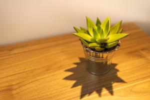 Stylish Central Apartment Near University & a Few Minutes to the Promenade by QuickTrips