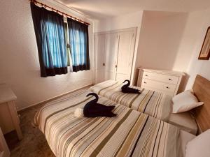 estudio exterior en Matagorda