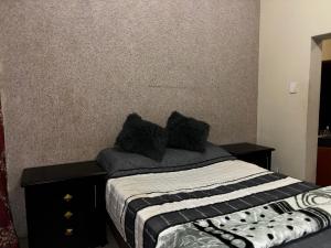 Luxurious House in JHB South