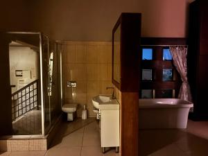 Luxurious House in JHB South