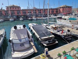 Il Rifugio nel Porto Antico - The Refuge in the Old Port -Le Refuge dans le Vieux Port