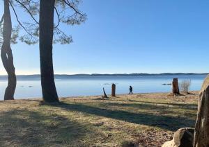 Maison de type arcachonnaise à 150m de la plage