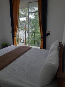 Golden Waters Stay & Dine