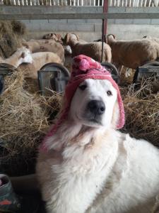 La Ferme de la Soula