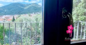 Residenza Locci - Rooms & Apartments img17