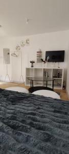 Charming studio with terrace in Roubaix