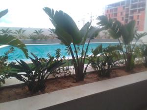 Apartment for rent forseasons in Mrezga