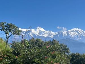 Hotel Pristine Himalaya