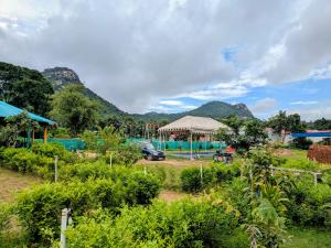 Jungle buru eco camp