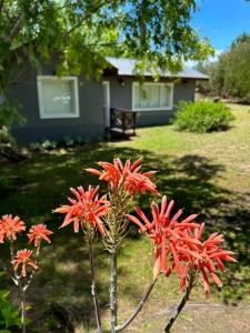 Aguamarina Casas con servicio de balneario incluido
