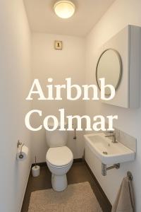 Coup de cœur à Colmar Appartement en plein centre