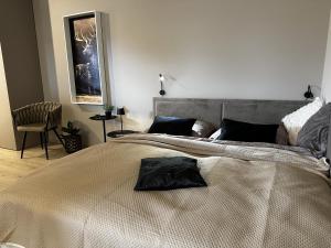 Loft N 39 - ekskluzywny apartament pod Zamkiem w Mosznej