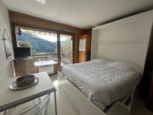 NOUVEAU Louveteau 3 Studio avec terrasse et vue montagne