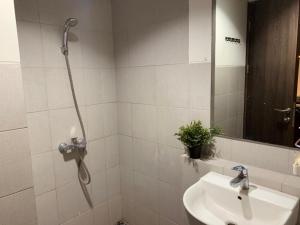 Cozy Studio Bintaro Icon Emerald by alonelyroom