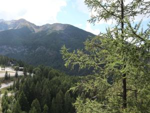 Appartement Confort 6 pers, 2 pièces, Balcon, Cheminée, Accès direct aux pistes - FR-1-322-451