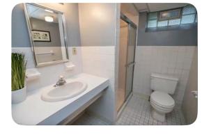 Shaker Heights Apartment near Cleveland Clinic