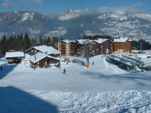 Grand duplex 3 chambres au pied des pistes, parking inclus - FR-1-642-20