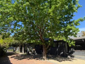 Twice Central Guest House