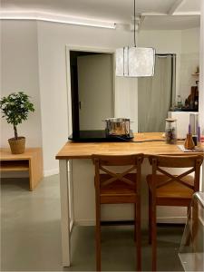 THE GREEN CHAIR Osterstraße - 65qm industrial apartment with balcony for 4-6