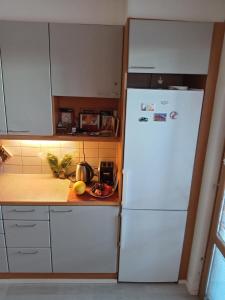 Private room in shared appartment