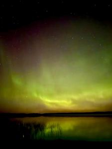 Aurora Wilderness-Kuorikki