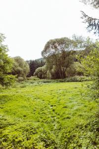 Retro mobilehome Fanfare Woltzdal