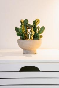 Studio in Campo de Ourique