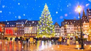 Logement 2 pièces cosy avec parking privé