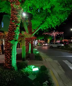 Apartamento no centro Canela