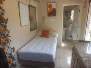 Tiny home- likle but wi tallawah