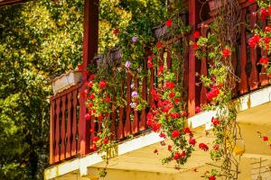 VELINN Pousada Recanto da Natureza