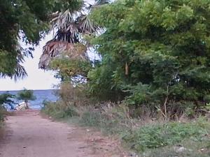 Dots bey beach cabanas