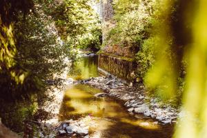 2 Persoons Comfort Bockmillen Woltzdal