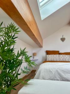 Les Gîtes de la Source de la Loire