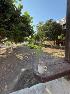 Traditional Thea Home